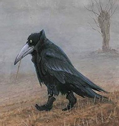 Krahe Rudi Hurzlmeier Black Raven Crow_ in Boots