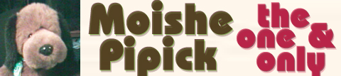 Who is Moishe Pipick? The one and only!